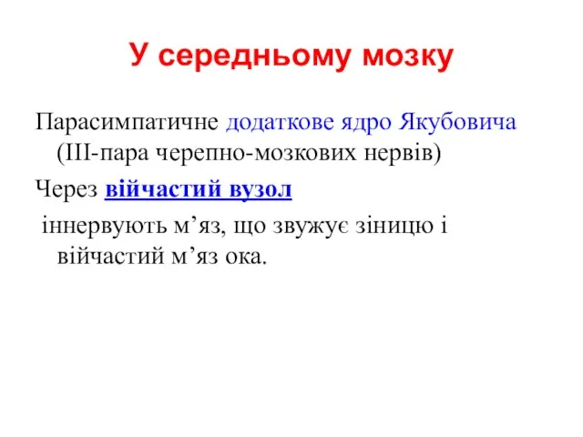 У середньому мозку Парасимпатичне додаткове ядро Якубовича (ІІІ-пара черепно-мозкових нервів) Через війчастий