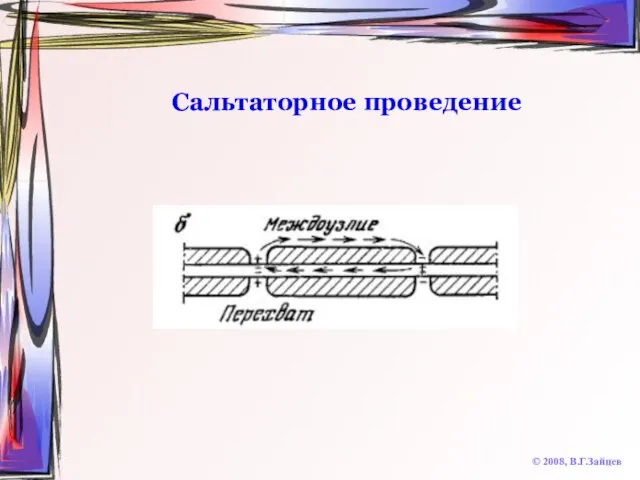 Сальтаторное проведение © 2008, В.Г.Зайцев