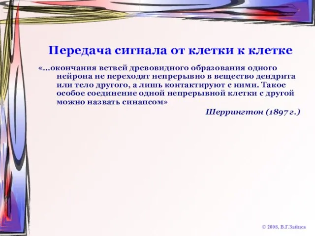 Передача сигнала от клетки к клетке © 2008, В.Г.Зайцев «…окончания ветвей древовидного