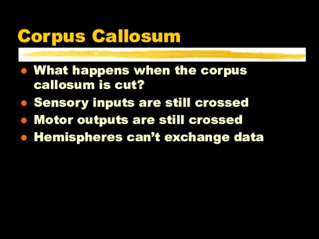 Corpus Callosum What happens when the corpus callosum is cut? Sensory inputs