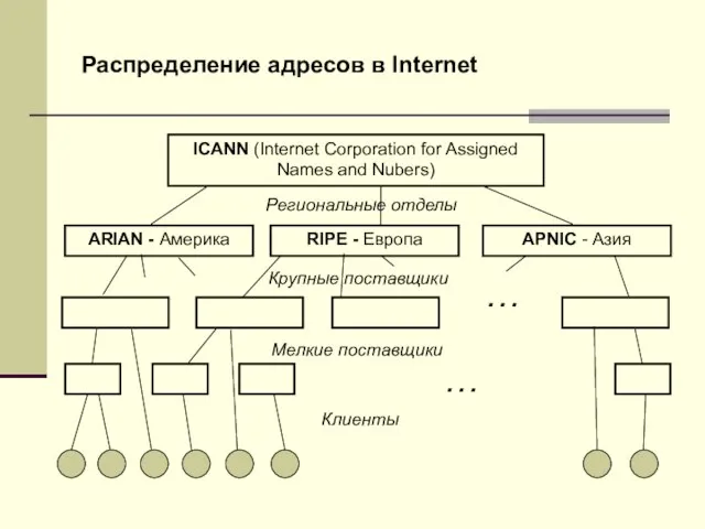 Распределение адресов в Internet ICANN (Internet Corporation for Assigned Names and Nubers)