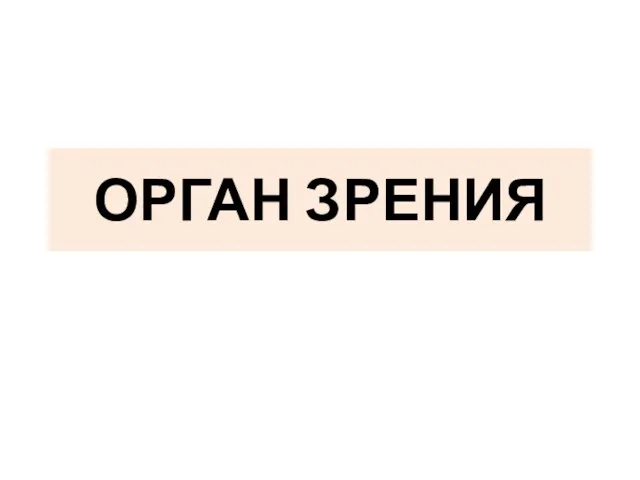 ОРГАН ЗРЕНИЯ