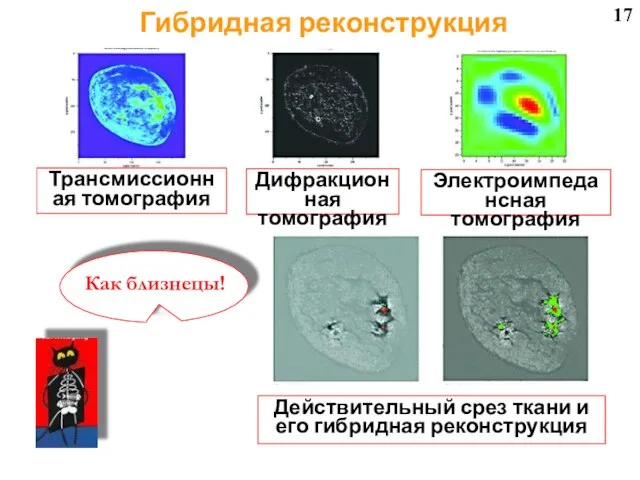 17 Трансмиссионная томография Дифракционная томография Электроимпедансная томография Действительный срез ткани и его гибридная реконструкция Гибридная реконструкция