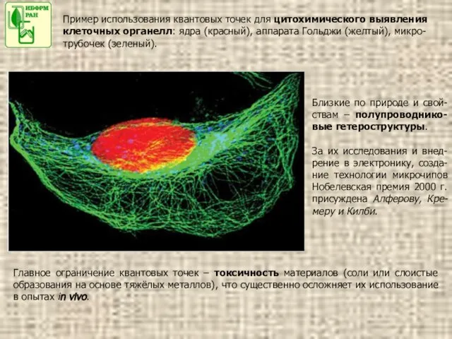 Главное ограничение квантовых точек – токсичность материалов (соли или слоистые образования на