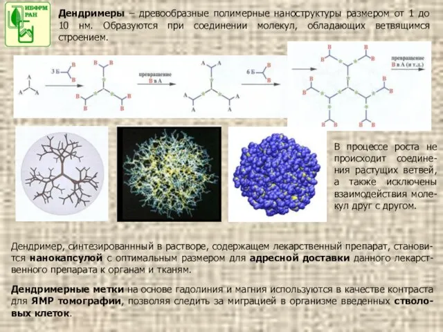 Дендримеры – древообразные полимерные наноструктуры размером от 1 до 10 нм. Образуются