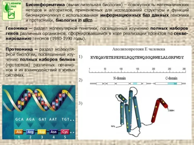 Биоинформатика (вычислительная биология) – совокупность математических методов и алгоритмов, применяемых для исследований