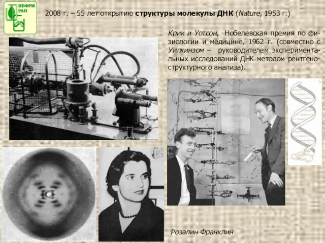 2008 г. – 55 лет открытию структуры молекулы ДНК (Nature, 1953 г.)