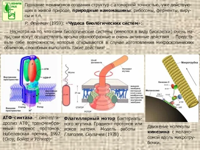 Познание механизмов создания структур с атомарной точностью, уже действую-щих в живой природе,