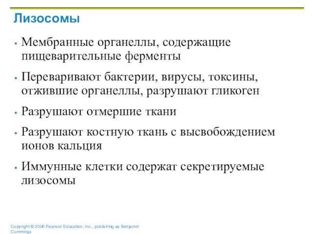 Лизосомы Мембранные органеллы, содержащие пищеварительные ферменты Переваривают бактерии, вирусы, токсины, отжившие органеллы,