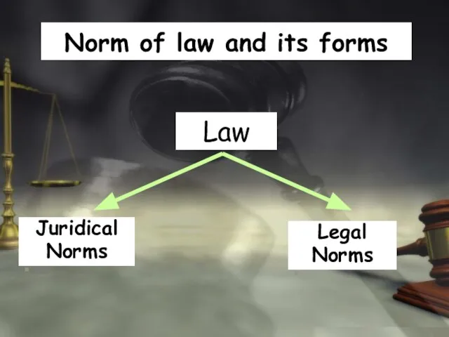 Law Juridical Norms Legal Norms Norm of law and its forms