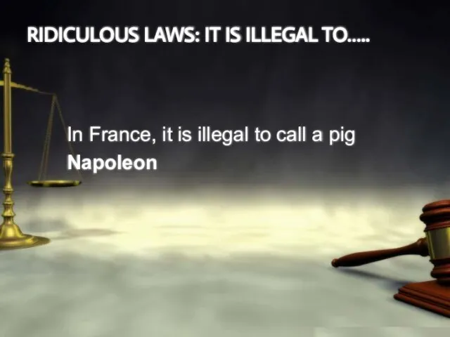 RIDICULOUS LAWS: IT IS ILLEGAL TO….. In France, it is illegal to call a pig Napoleon