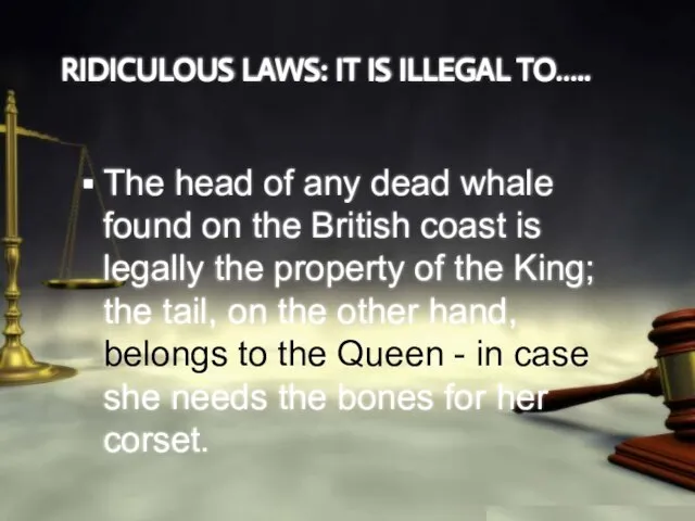 RIDICULOUS LAWS: IT IS ILLEGAL TO….. The head of any dead whale