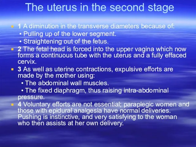 The uterus in the second stage 1 A diminution in the transverse