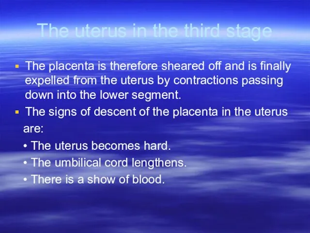 The uterus in the third stage The placenta is therefore sheared off