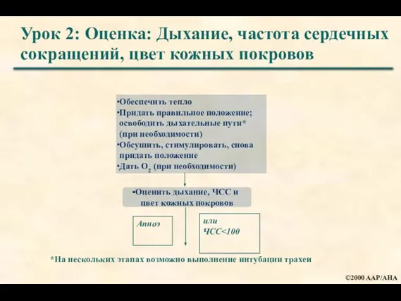 Урок 2: Оценка: Дыхание, частота сердечных сокращений, цвет кожных покровов *На нескольких