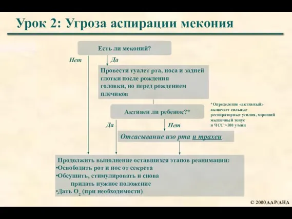 © 2000 AAP/AHA Есть ли меконий? Активен ли ребенок?* Провести туалет рта,