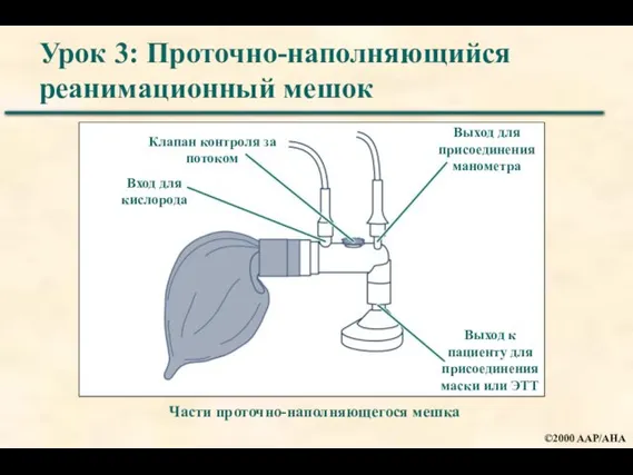 Урок 3: Проточно-наполняющийся реанимационный мешок Части проточно-наполняющегося мешка Клапан контроля за потоком