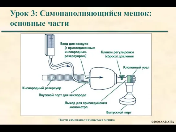 Урок 3: Самонаполняющийся мешок: основные части Части самонаполняющегося мешка