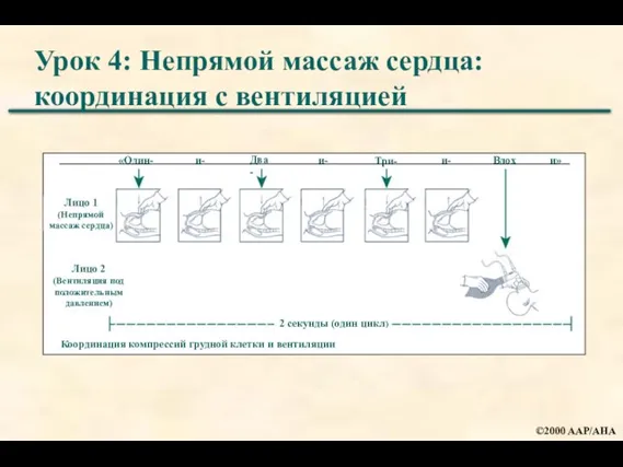 Урок 4: Непрямой массаж сердца: координация с вентиляцией Координация компрессий грудной клетки