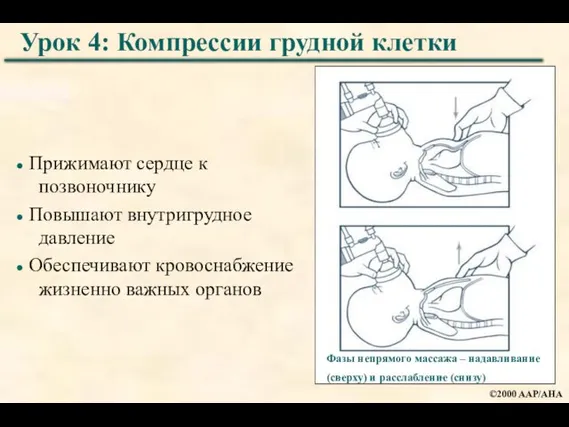 Прижимают сердце к позвоночнику Повышают внутригрудное давление Обеспечивают кровоснабжение жизненно важных органов