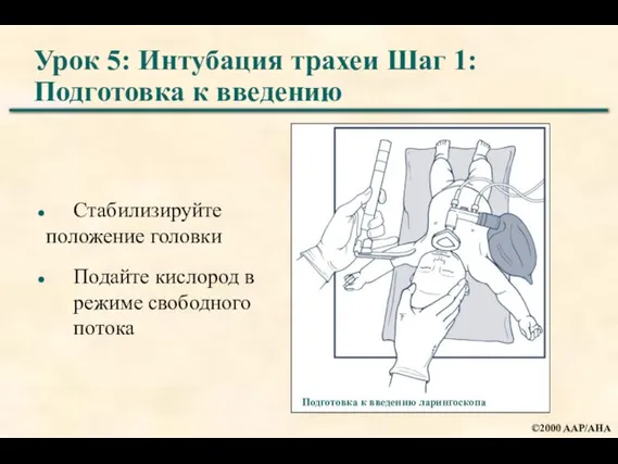 Урок 5: Интубация трахеи Шаг 1: Подготовка к введению Стабилизируйте положение головки