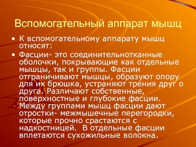 Вспомогательный аппарат мышц К вспомогательному аппарату мышц относят: Фасции- это соединительнотканные оболочки,