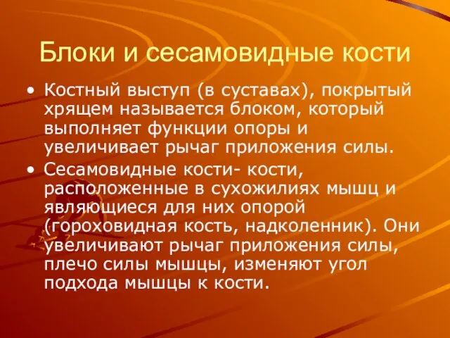 Блоки и сесамовидные кости Костный выступ (в суставах), покрытый хрящем называется блоком,