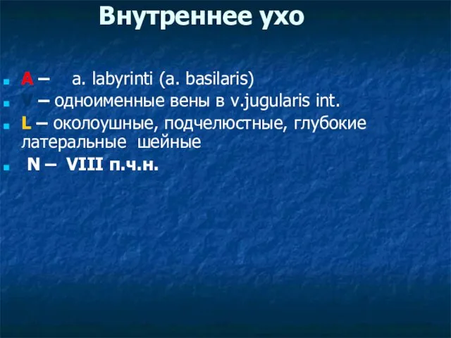 Внутреннее ухо A – a. labyrinti (a. basilaris) V – одноименные вены