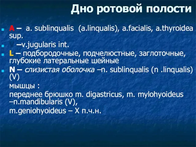 Дно ротовой полости A – a. sublinqualis (a.linqualis), a.facialis, a.thyroidea sup. V