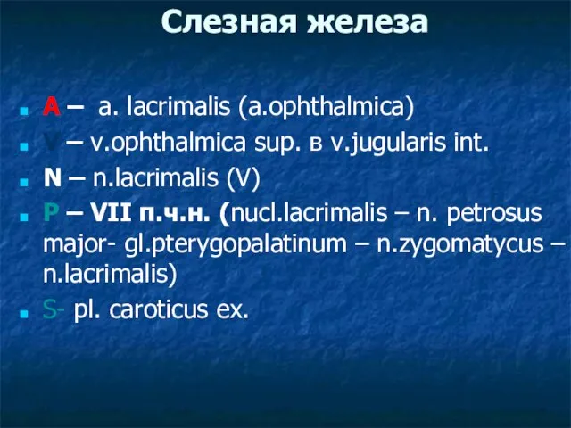 Слезная железа A – a. lacrimalis (a.ophthalmica) V – v.ophthalmica sup. в
