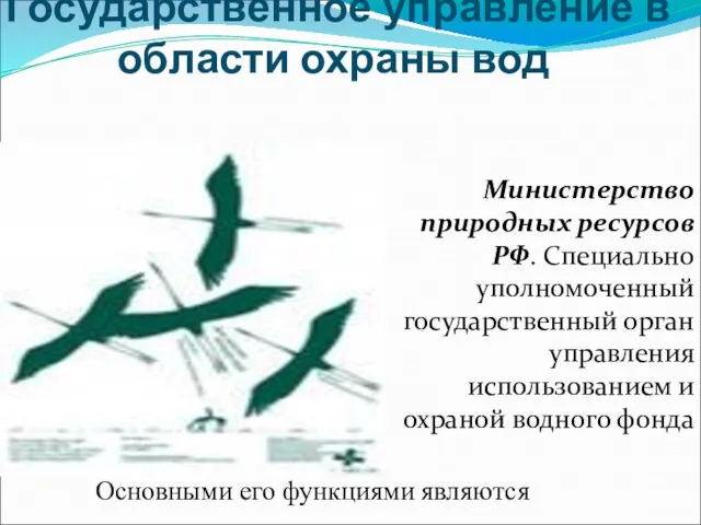 Государственное управление в области охраны вод Министерство природных ресурсов РФ. Специально уполномоченный