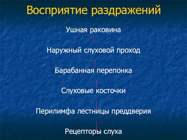 Восприятие раздражений Ушная раковина Наружный слуховой проход Барабанная перепонка Слуховые косточки Перилимфа лестницы преддверия Рецепторы слуха