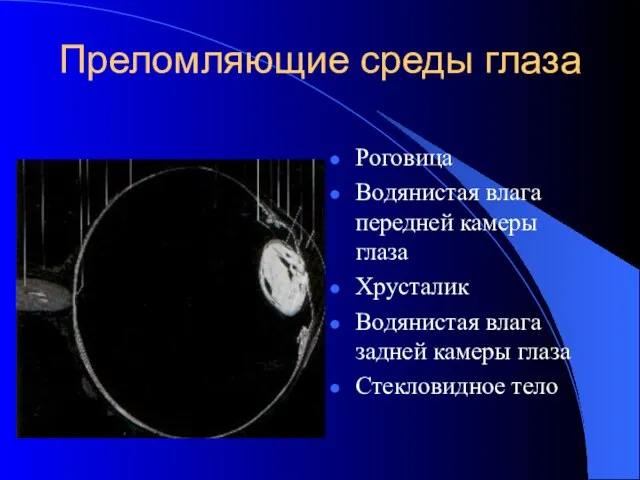 Преломляющие среды глаза Роговица Водянистая влага передней камеры глаза Хрусталик Водянистая влага