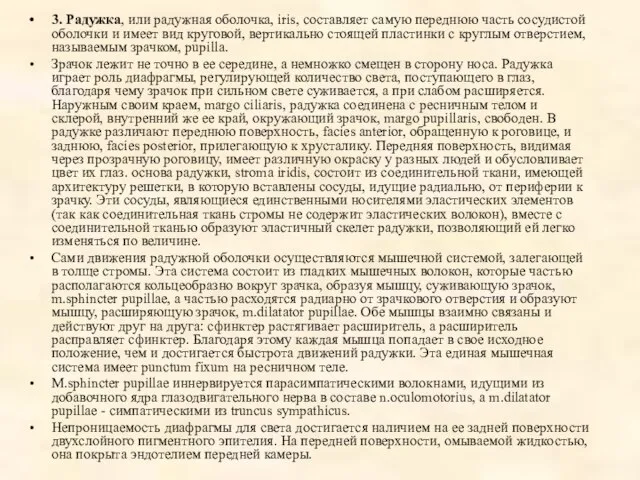 3. Pадужка, или pадужная оболочка, iris, составляет самую переднюю часть сосудистой оболочки