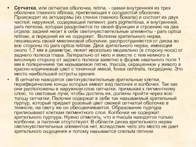 Сетчатка, или сетчатая оболочка, retina, - самая внутренняя из трех оболочек глазного