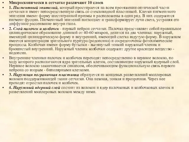 Микроскопически в сетчатке различают 10 слоев 1. Пигментный эпителий, который простирается на