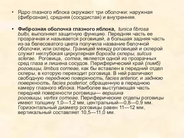 Ядро глазного яблока окружают три оболочки: наружная (фиброзная), средняя (сосудистая) и внутренняя.