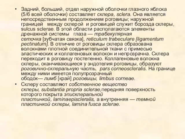 Задний, больший, отдел наружной оболочки глазного яблока (5/6 всей оболочки) составляет склера,