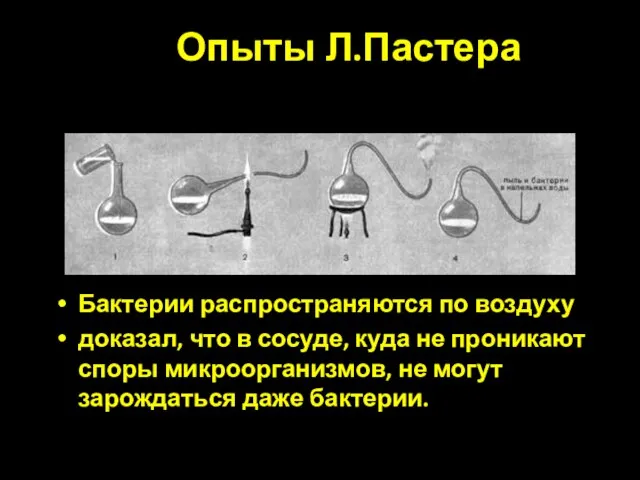 Опыты Л.Пастера Бактерии распространяются по воздуху доказал, что в сосуде, куда не