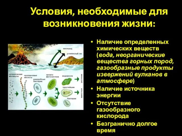 Условия, необходимые для возникновения жизни: Наличие определенных химических веществ (вода, неорганические вещества