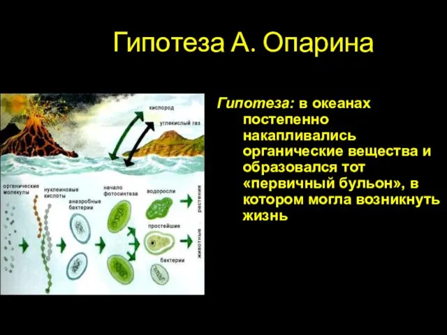 Гипотеза А. Опарина Гипотеза: в океанах постепенно накапливались органические вещества и образовался