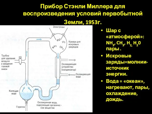 Прибор Стэнли Миллера для воспроизведения условий первобытной Земли, 1953г. Шар с «атмосферой»: