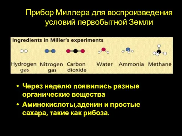 Прибор Миллера для воспроизведения условий первобытной Земли Через неделю появились разные органические