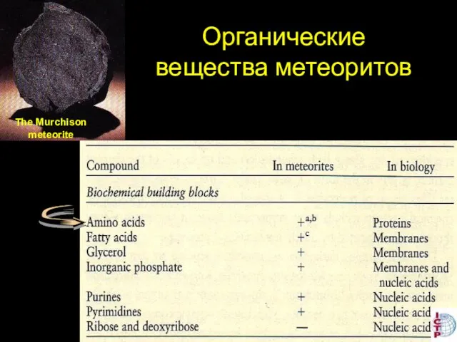 Органические вещества метеоритов The Murchison meteorite