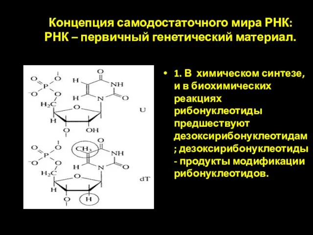 Концепция самодостаточного мира РНК: РНК – первичный генетический материал. 1. В химическом