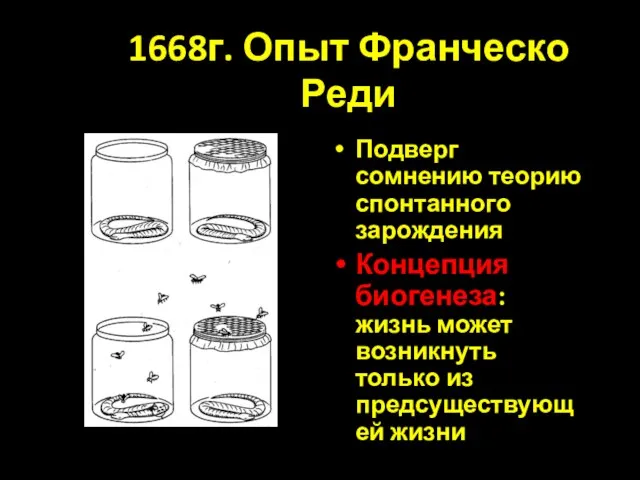 1668г. Опыт Франческо Реди Подверг сомнению теорию спонтанного зарождения Концепция биогенеза: жизнь