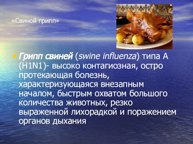 «Свиной грипп» Грипп свиней (swine influenza) типа А(H1N1)- высоко контагиозная, остро протекающая