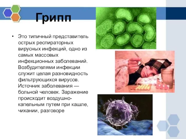 Грипп Это типичный представитель острых респираторных вирусных инфекций, одно из самых массовых