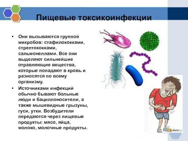 Пищевые токсикоинфекции Они вызываются группой микробов: стафилококками, стрептококками, сальмонеллами. Все они выделяют