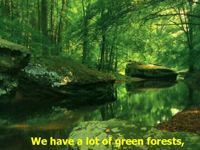 We have a lot of green forests,